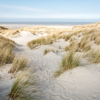 Afbeelding voor Terschelling