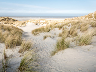 Afbeelding voor Terschelling