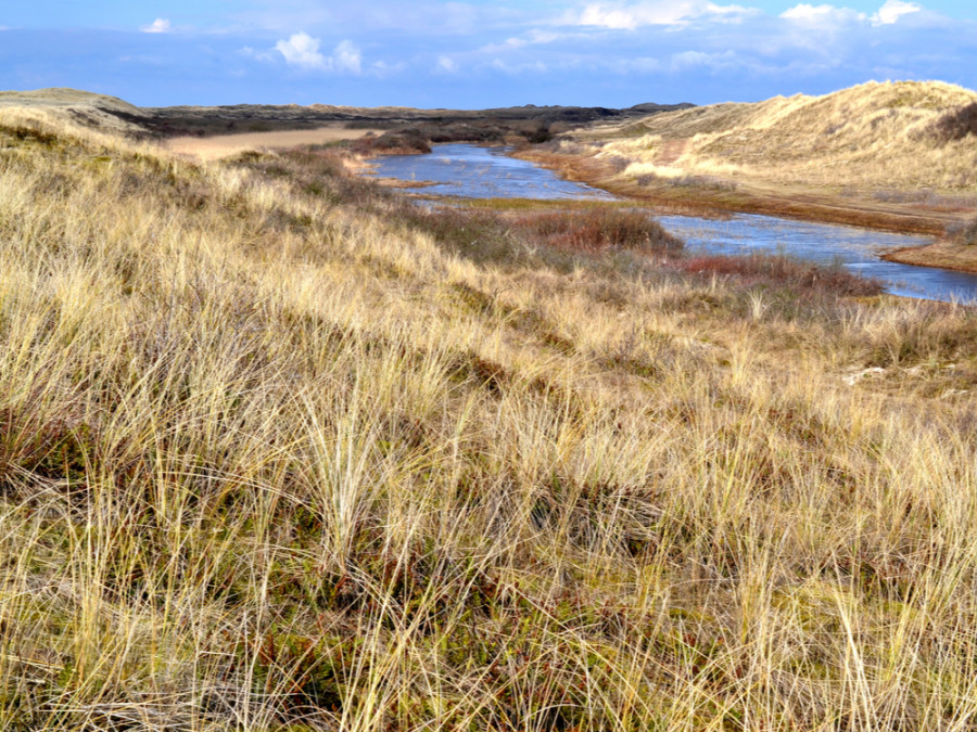 Hors Texel