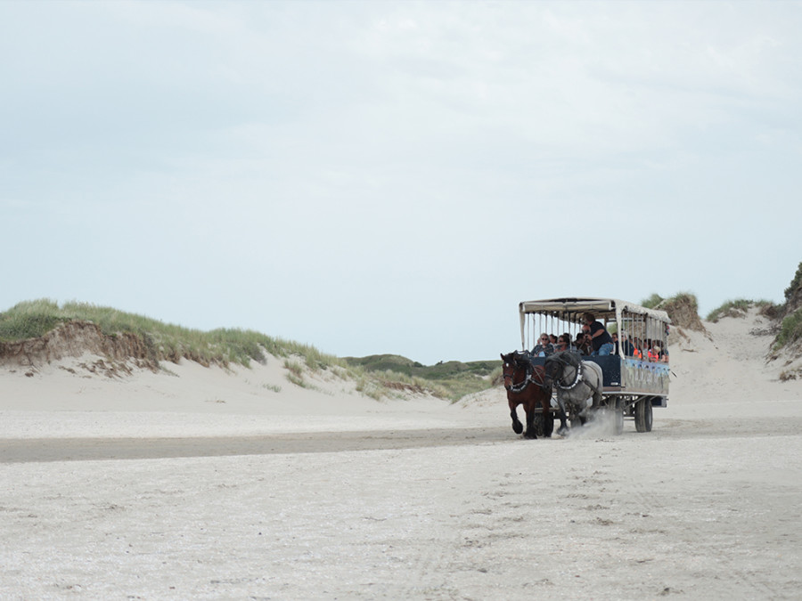 Huifkartocht Texel