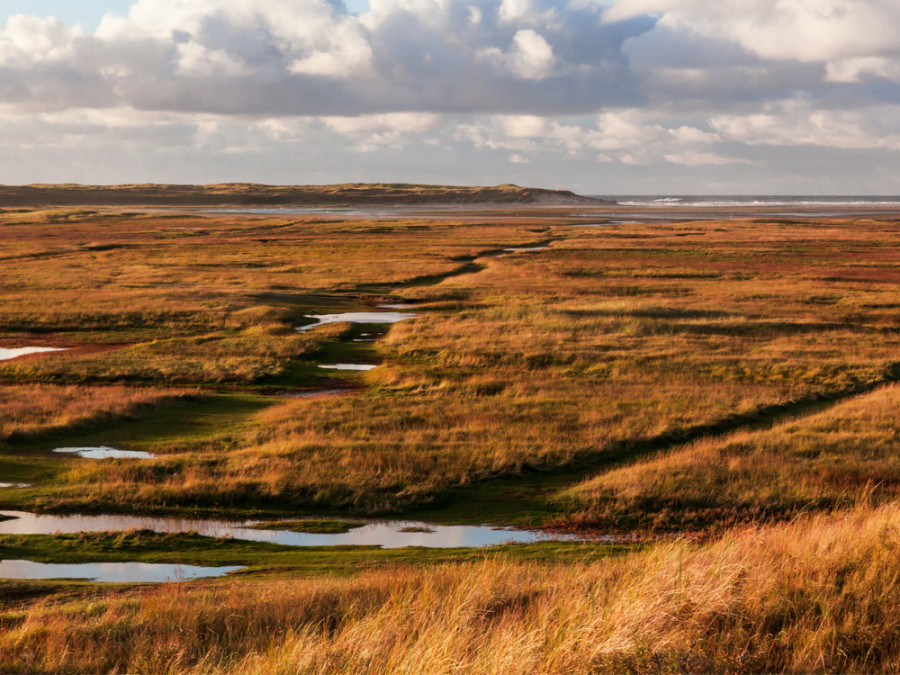 Natuurgebieden Texel