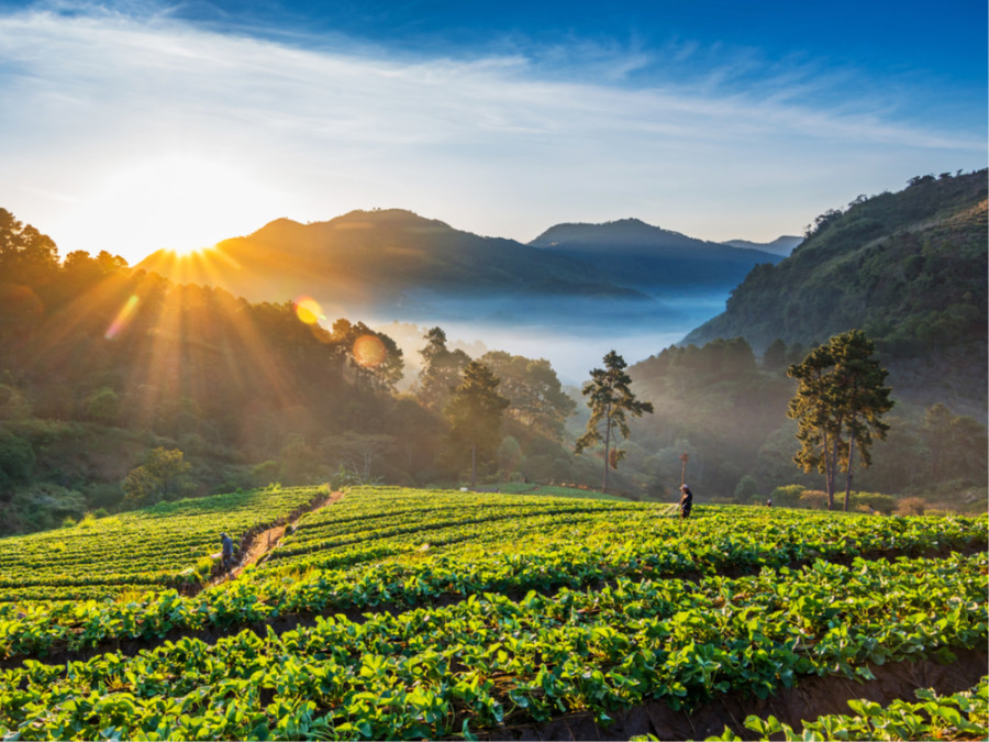 Natuur Noord-Thailand