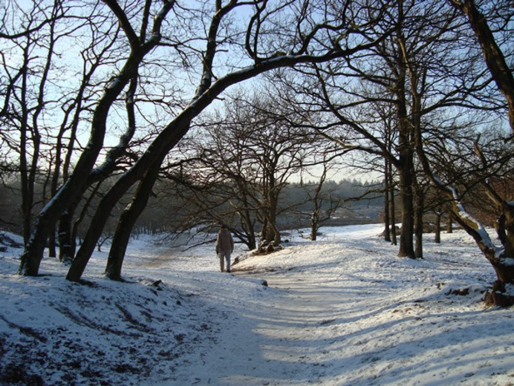 Wandelen in de sneeuw