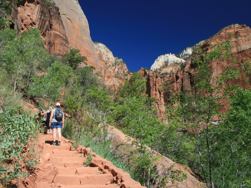 Zion national park