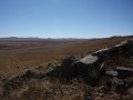 Mongoolse steppe