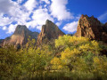 Zion National Park
