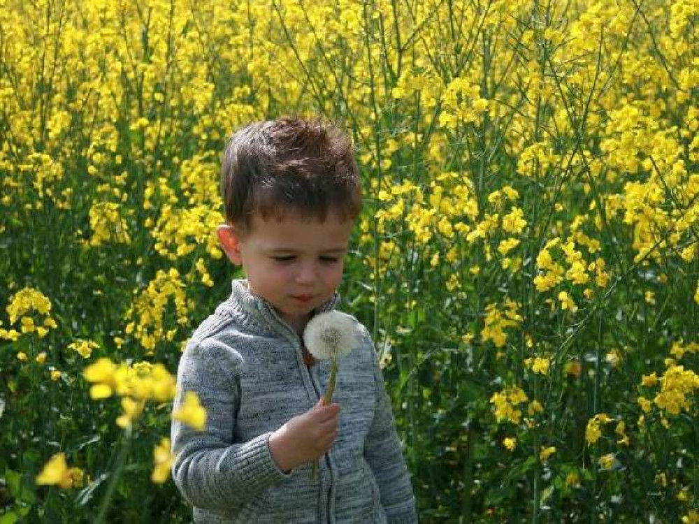 Natuurreizen met kinderen