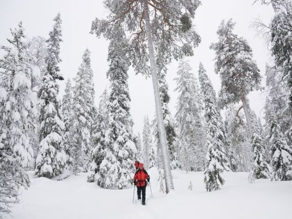 Sneeuwwandelen