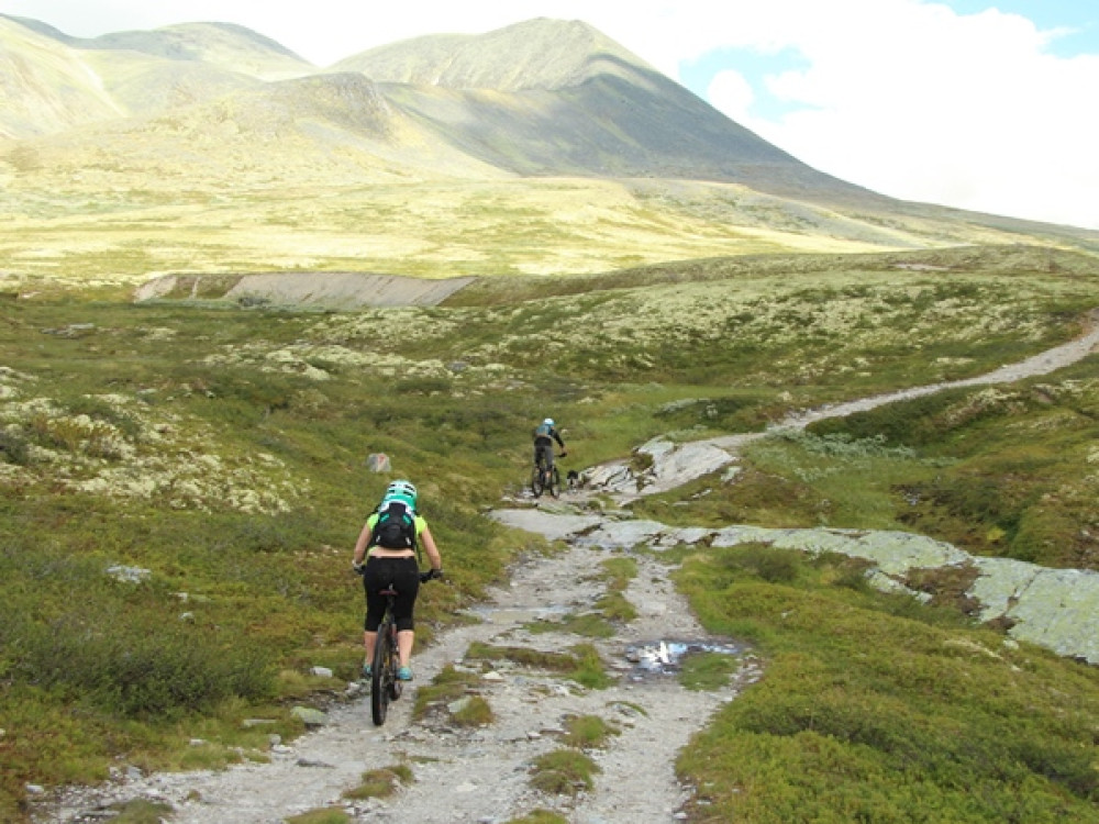 Fietsvakantie Noorwegen