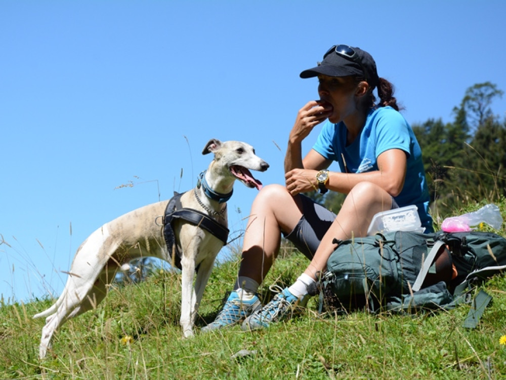 Wandelen met hond