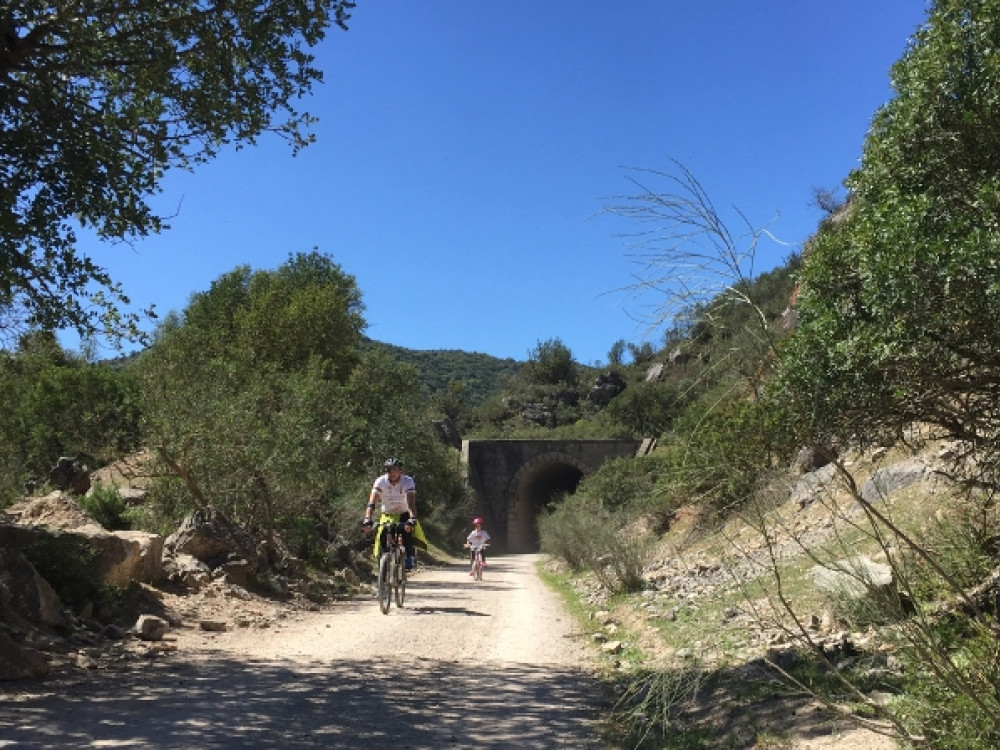 Follow me Tandem, fietsen met je kind! - Gezin op Reis