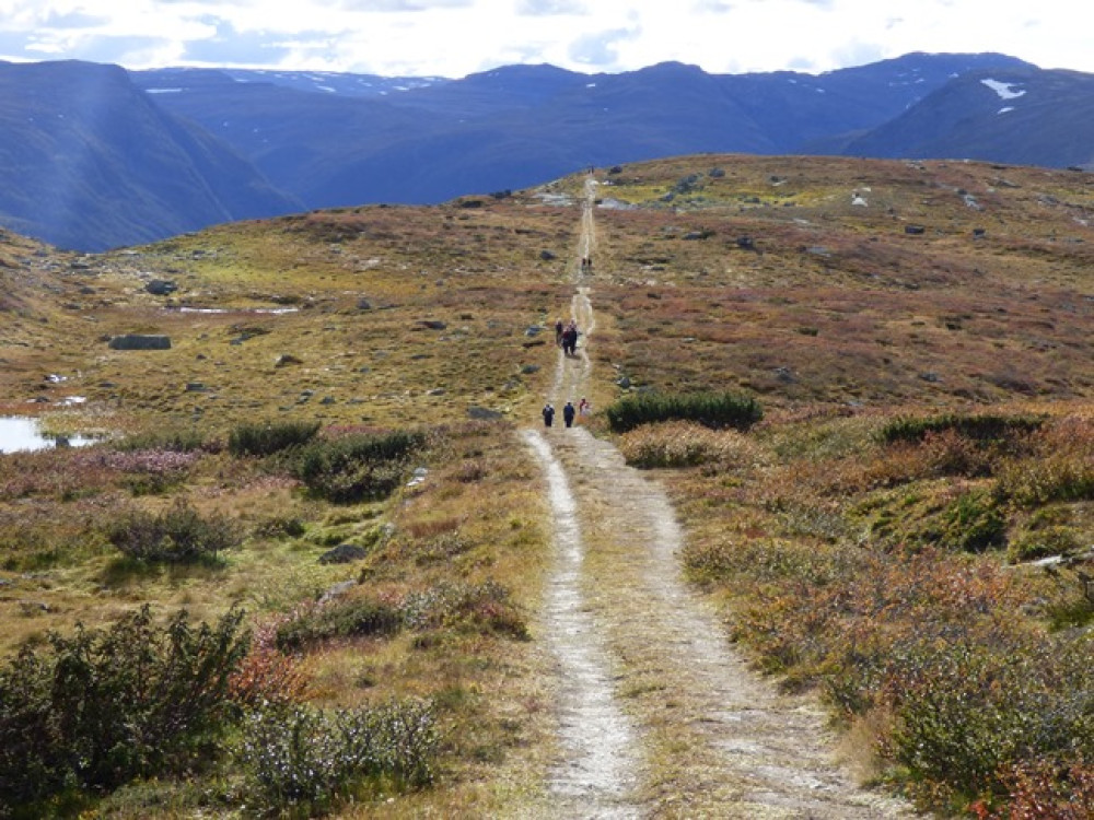 Wandelen Kongevegen