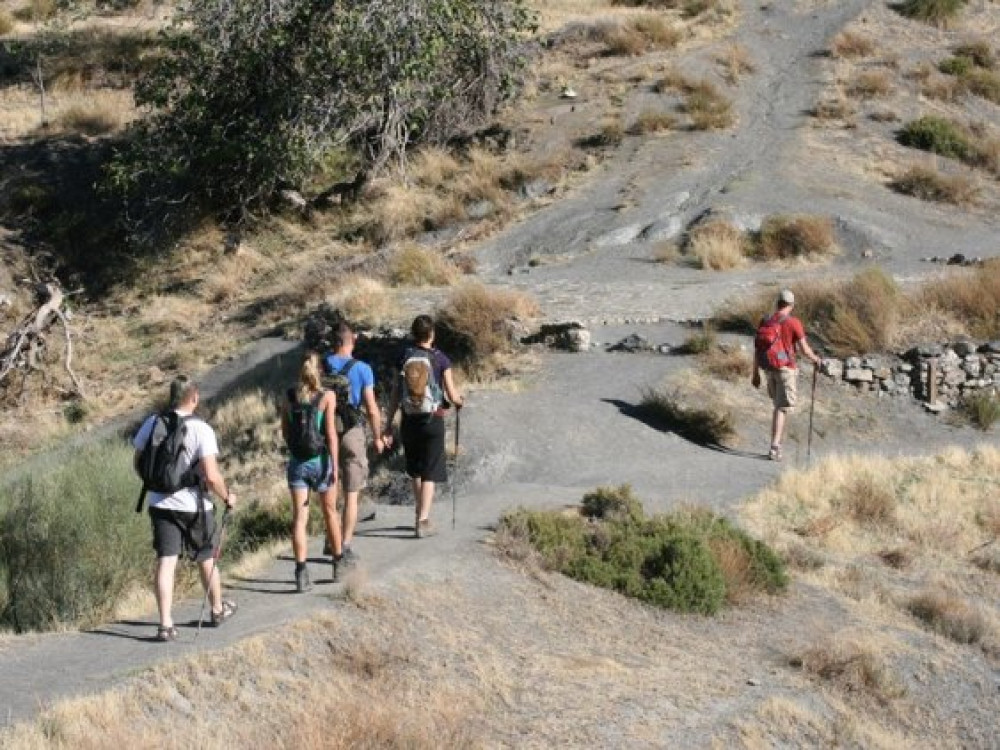 Wandelen met singles