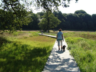 Afbeelding voor Wandelvakantie met hond