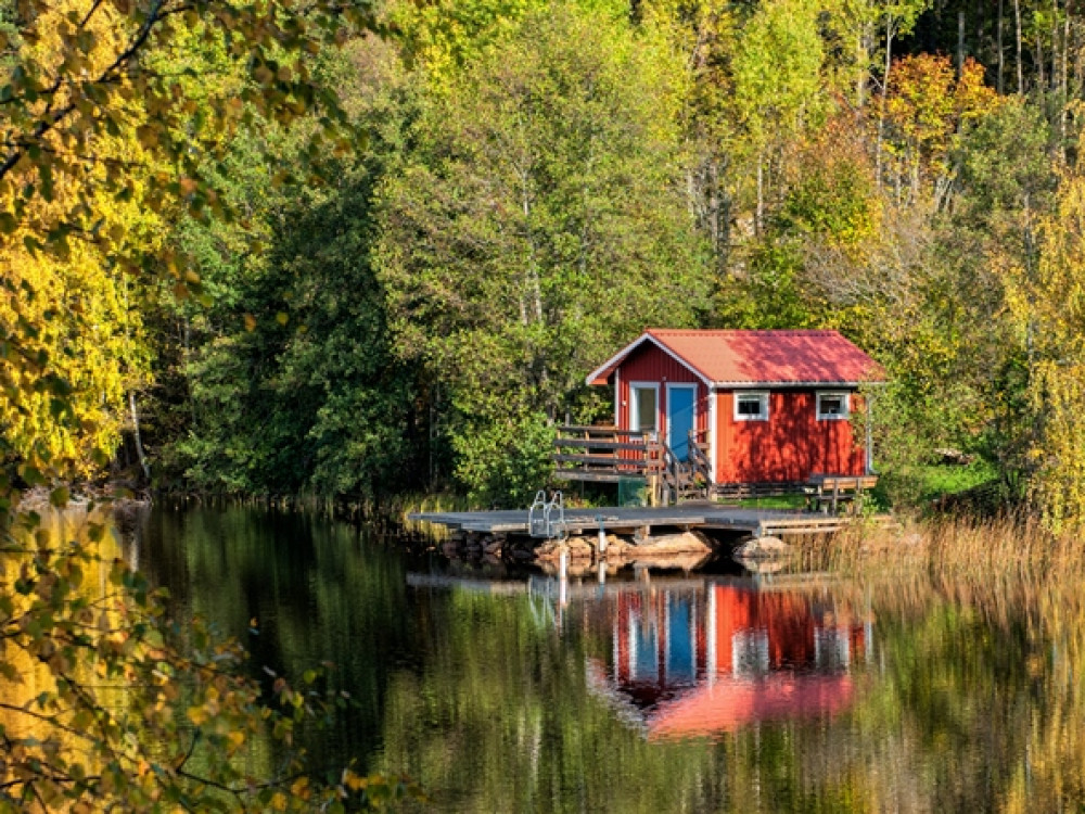 Vakantie in het bos