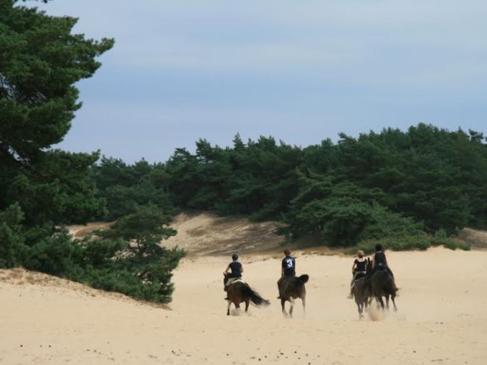 Paardrijden Nederland