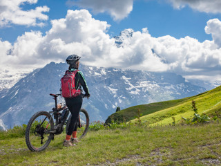 Afbeelding voor Fietsvakantie met e-bike