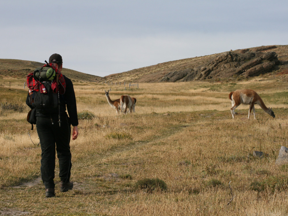 Hiking Patagonië