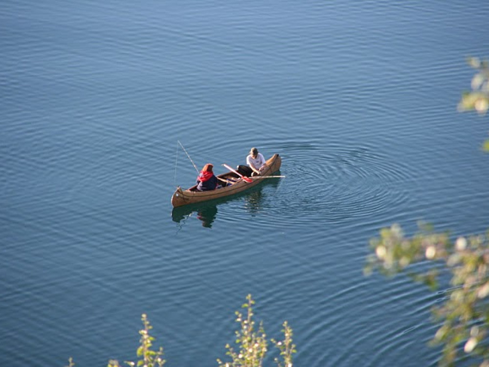 Vissen in Scandinavië