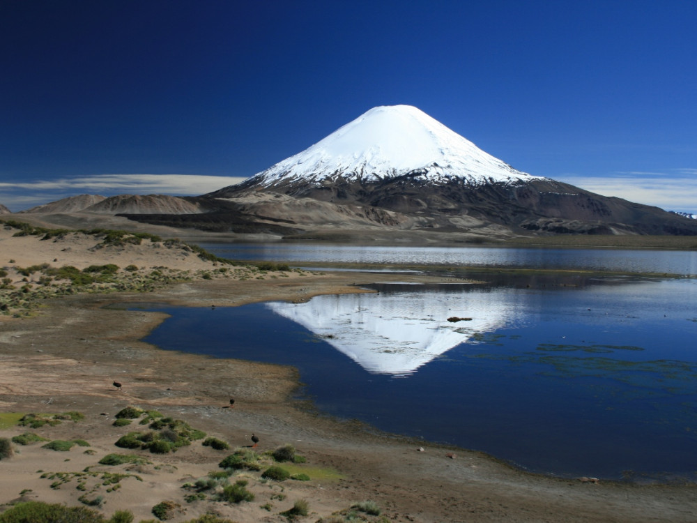 Parinacota - Chili en Bolivia