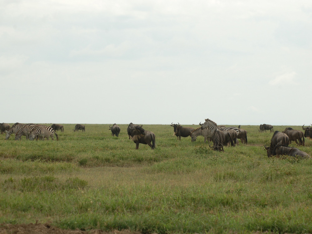 Serengeti National Park