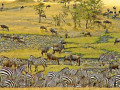 Serengeti Tanzania