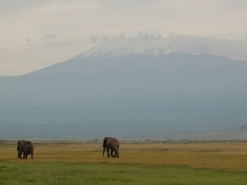 Kenia 