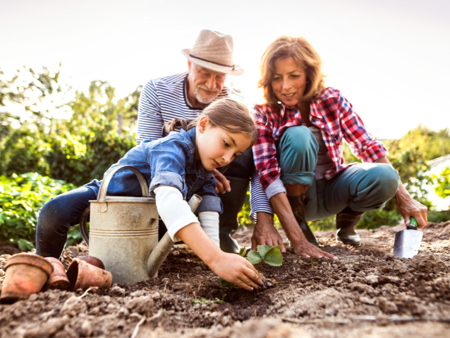 Moestuin aanleggen