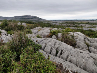 Afbeelding voor The Burren in Ierland