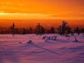 Afbeelding voor Winter in Dalarna