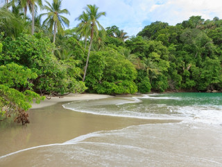 Afbeelding voor Mooie stranden in Costa Rica
