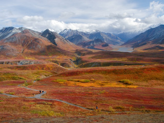 Afbeelding voor Alaska