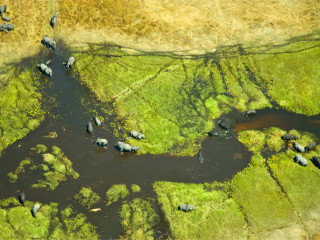 Afbeelding voor Okavangodelta