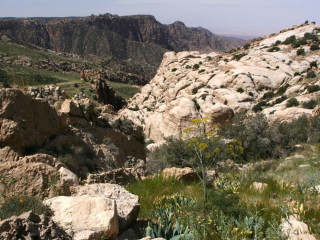 Afbeelding voor Dana natuurreservaat