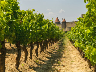 Afbeelding voor Languedoc-Roussillon