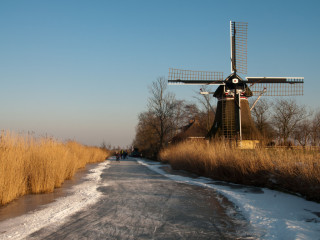 Afbeelding voor Friesland