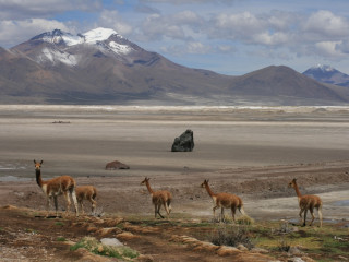 Afbeelding voor Chili natuur