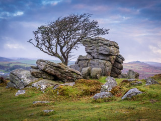 Afbeelding voor Verenigd Koninkrijk natuur
