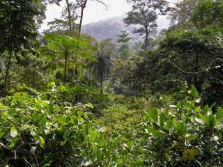 Afbeelding voor Togo natuur