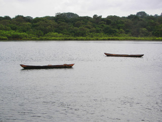 Afbeelding voor Guinee-Bissau natuur
