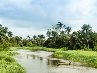 Afbeelding voor Ivoorkust natuur