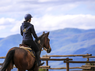 Afbeelding voor Paardrijden in Umbrië