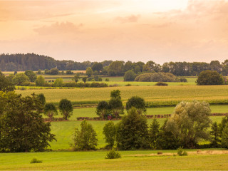 Afbeelding voor Natuur in Limburg