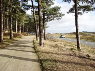 Afbeelding voor Roadtrip Nederland