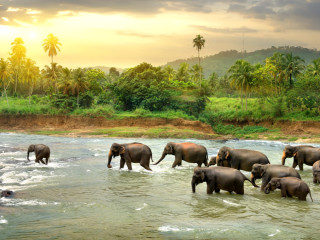 Afbeelding voor Sri Lanka