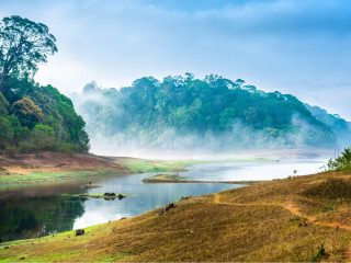 Afbeelding voor Periyar Nationaal Park in India