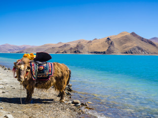 Afbeelding voor Rondreis in Tibet