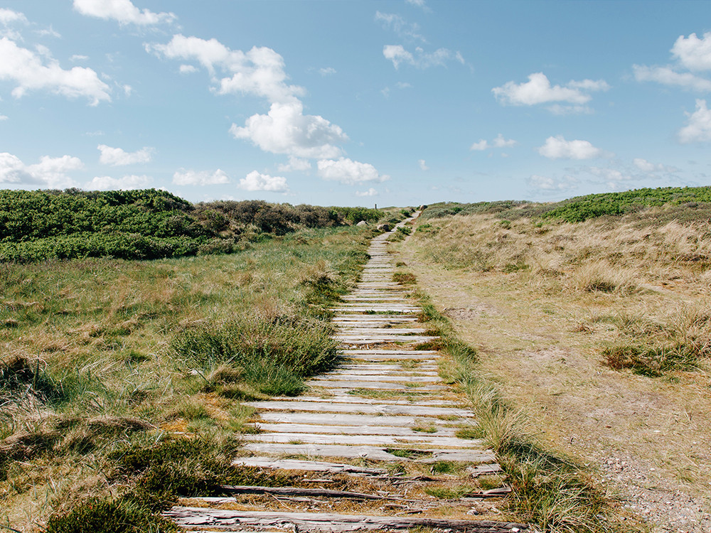 Mooiste wandelgebieden Denemarken