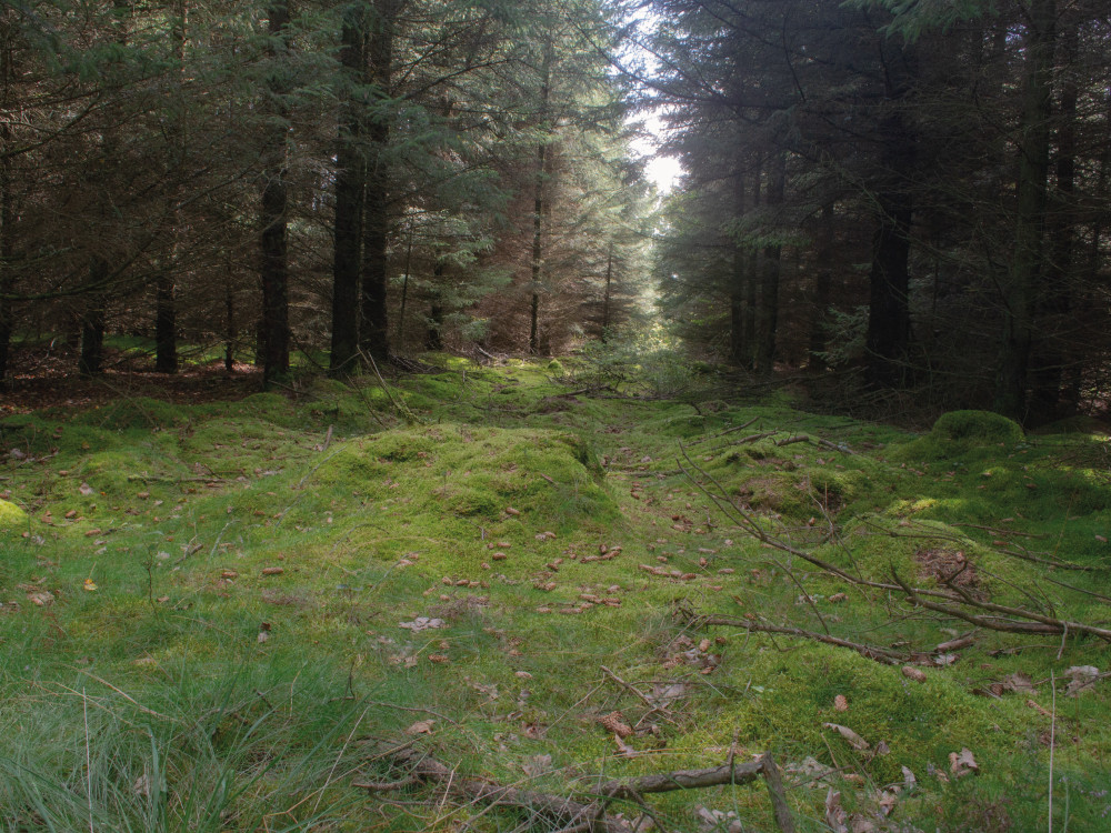 Wandelen in Thy Nationaal Park