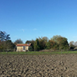 Afbeelding voor Natuurhuisje - Goeree-Overflakkee